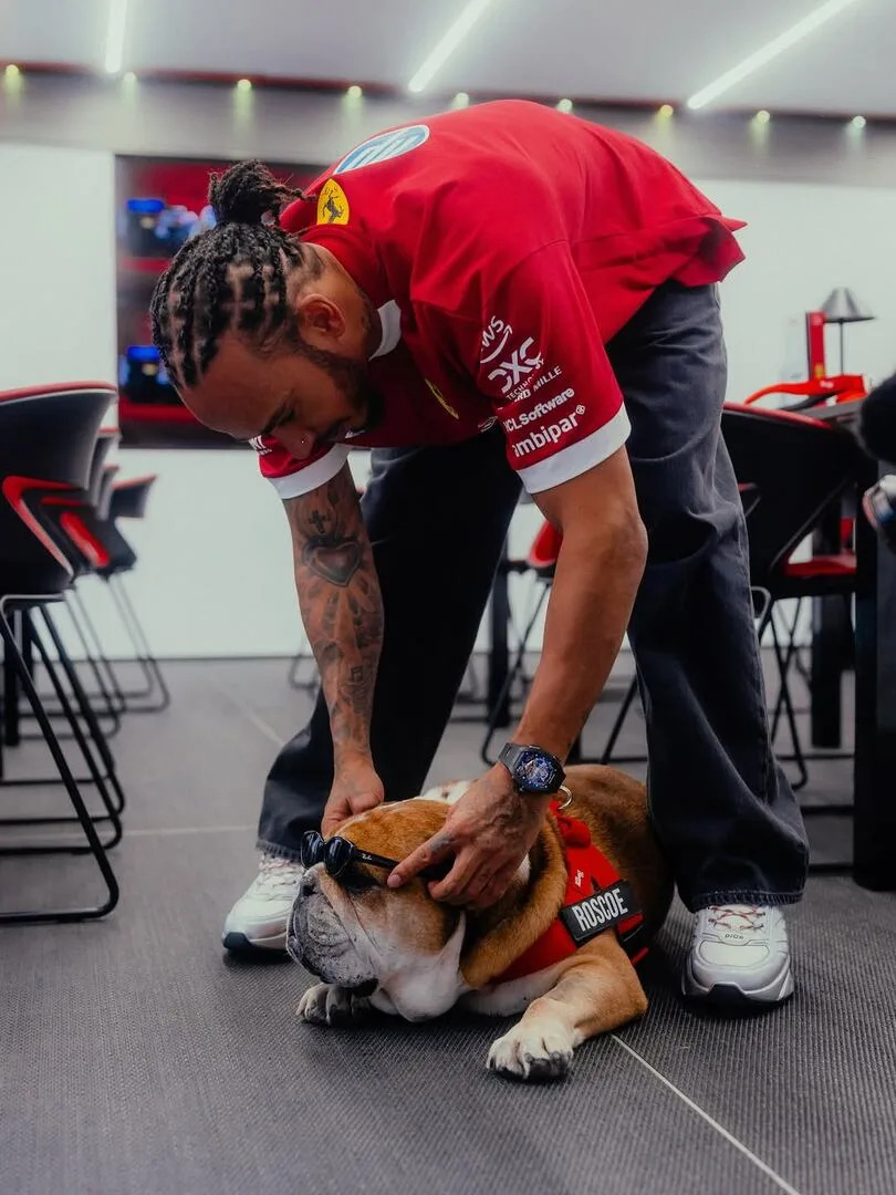 La extravagante vida de Roscoe, el bulldog de 12 años que adoptó Lewis Hamilton