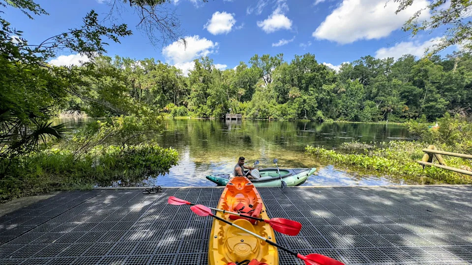 Ocala National Forest extends into northern Lake County, home to Lake Griffin, Burrell Lock, Lake Eustis and Alexander Springs, areas Congressman Randy Fine and a coalition of environmentalists are looking to protect by changing the forest to national park status.