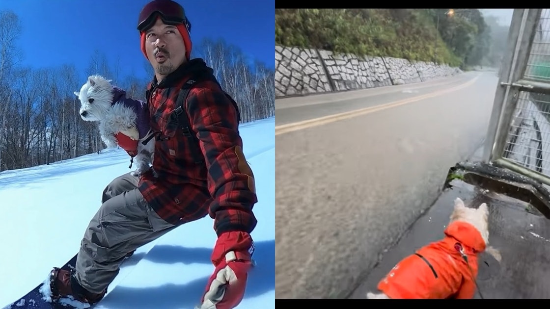 無懼紅雨Eric Kwok帶狗落街散步　公路變河流被濺全身濕