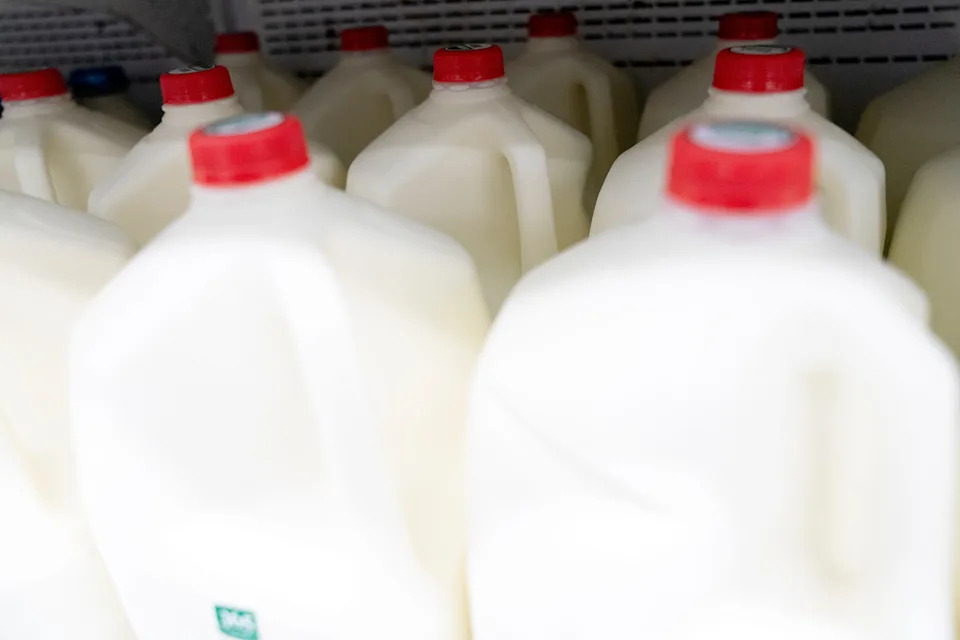 Official drink: Milk.