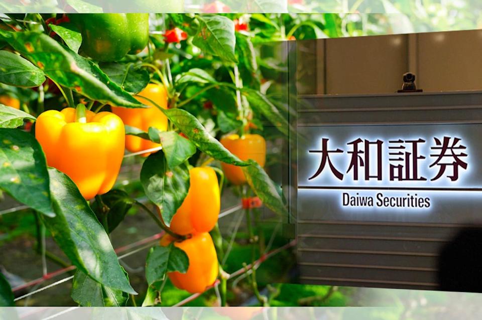 把甜椒變金融商品！《日經》指大和證券「規劃基金」：用投資力量改變日本農業
