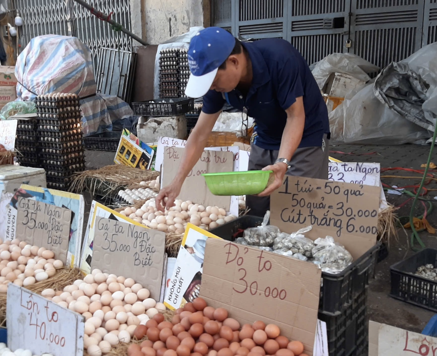Giá trứng tăng gấp đôi chỉ trong 1 tháng, nông dân lãi tiền triệu mỗi ngày