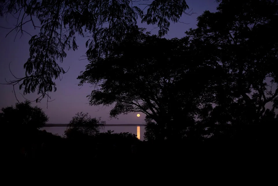 The image shows a full moon rising over a calm body of water, silhouetted by tree branches