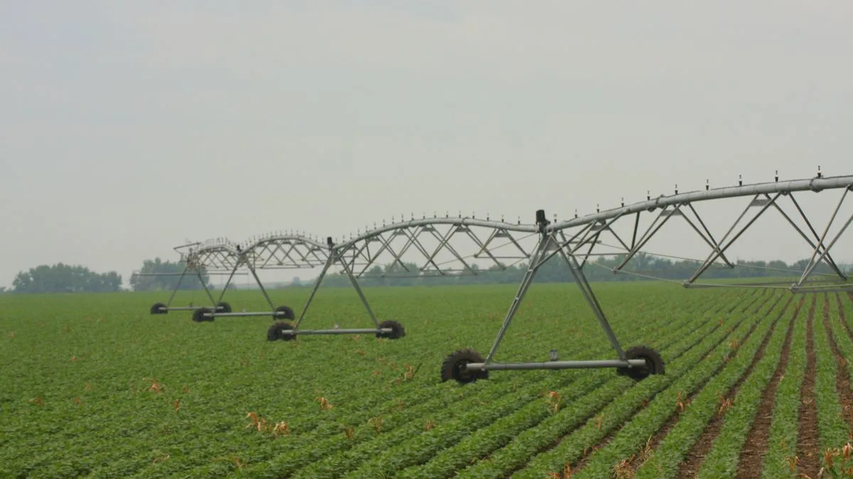 Fact Check: Debunking claim Nebraska is going bankrupt because of tariffs and labor shortages due to immigration raids