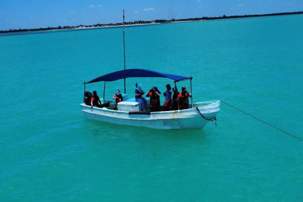 Guardianas del mar: mujeres yucatecas protegen lo que el Estado mexicano olvidó