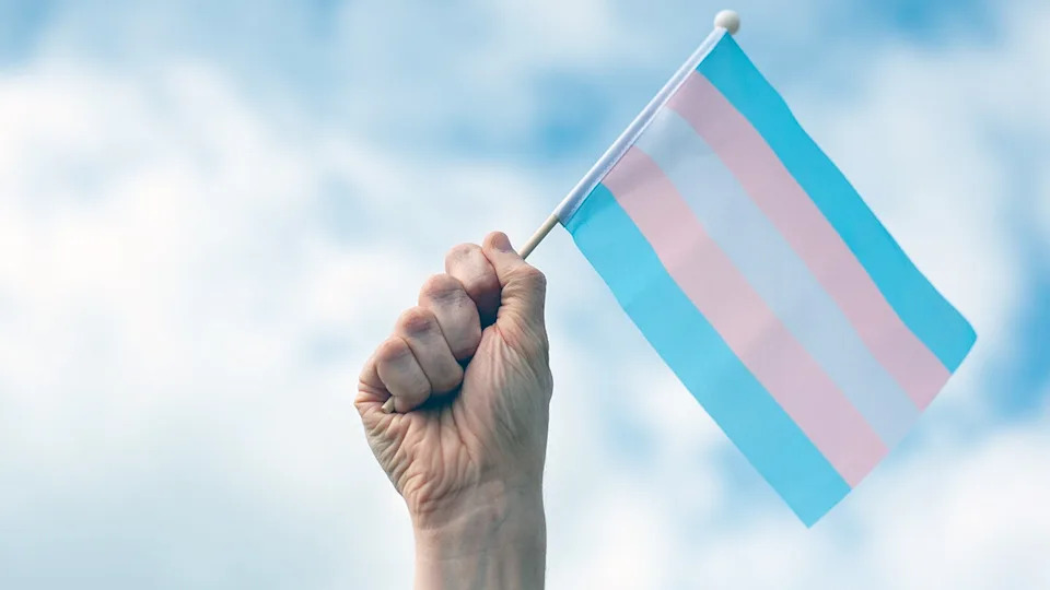Judge dismisses Wyoming sorority case on transgender member, citing 'expansive' definition of woman