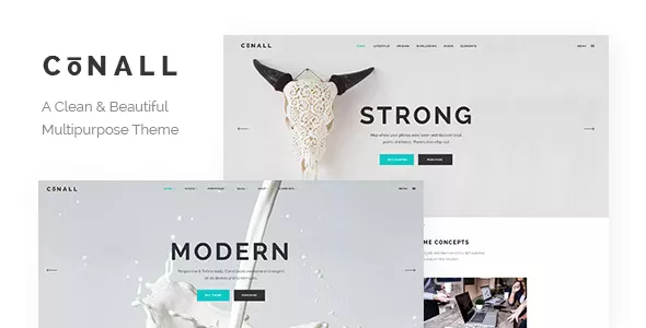 Conall v2.4 - Clean Multipurpose Theme