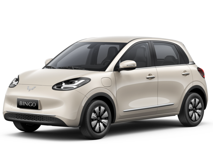 Đại gia Việt bán xe Trung Quốc bị xử lý vi phạm