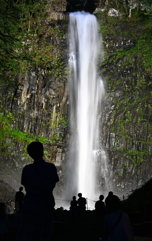 ライトアップされ、幻想的に浮かび上がる玉簾の滝=山形県酒田市で2025年8月9日、竹内幹撮影