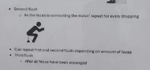 Summary of image text: Guidelines on courtesy flushing, detailing when to flush during the use of a restroom