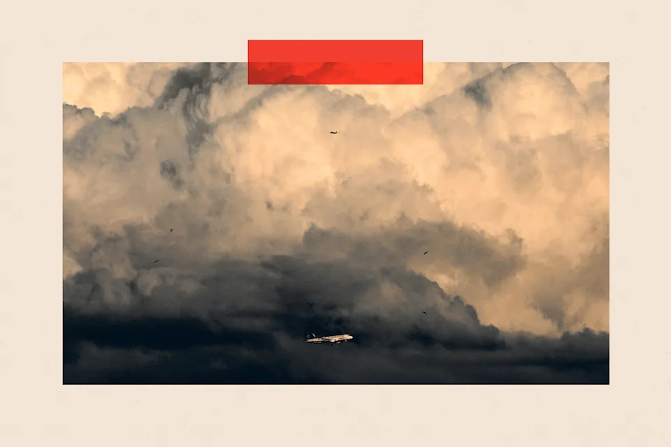 Birds fly near an aircraft of German airline Lufthansa in front of a cloudy sky