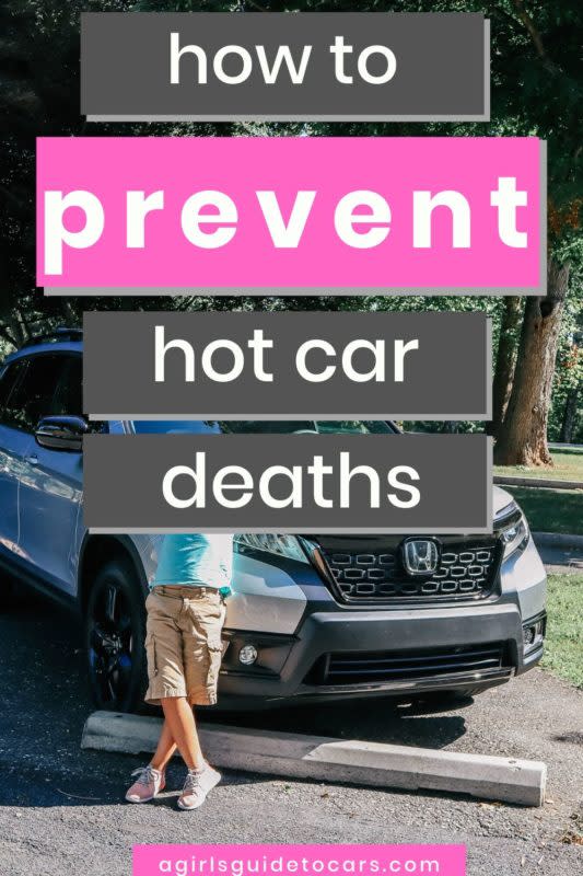 how to prevent hot car deaths pin
