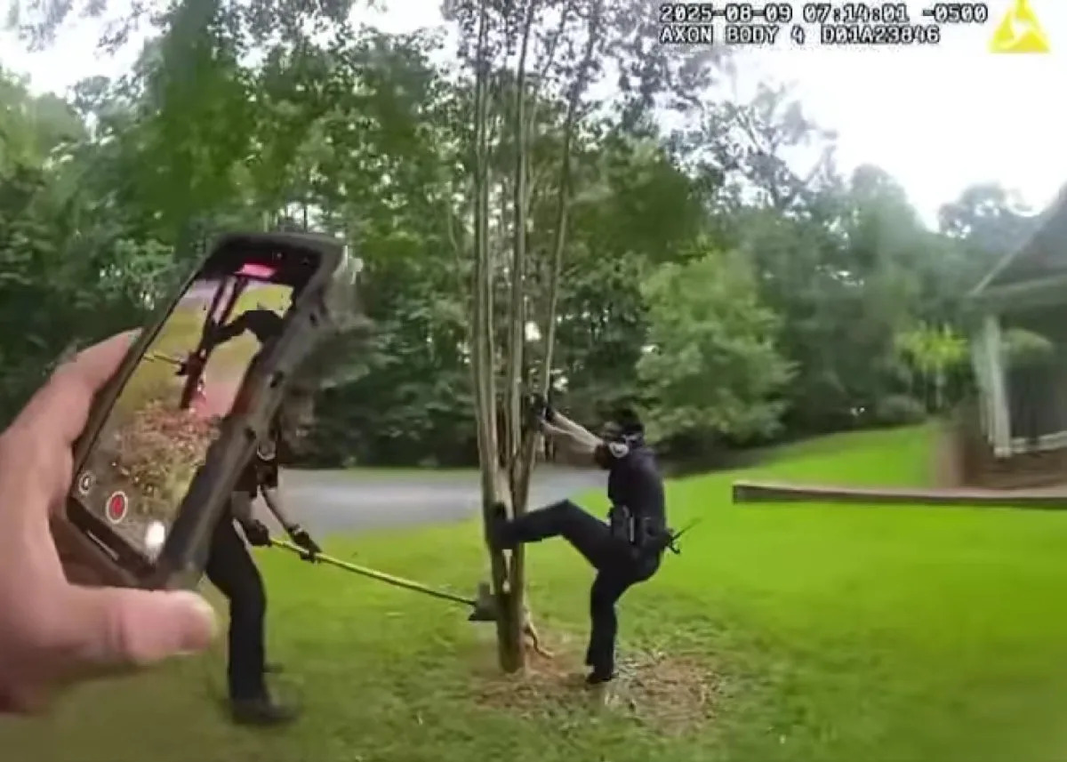 Watch: Coyote with leg stuck in tree rescued in Alabama