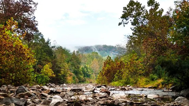 Getty A photo of Devil’s Den State Park in Arkansas