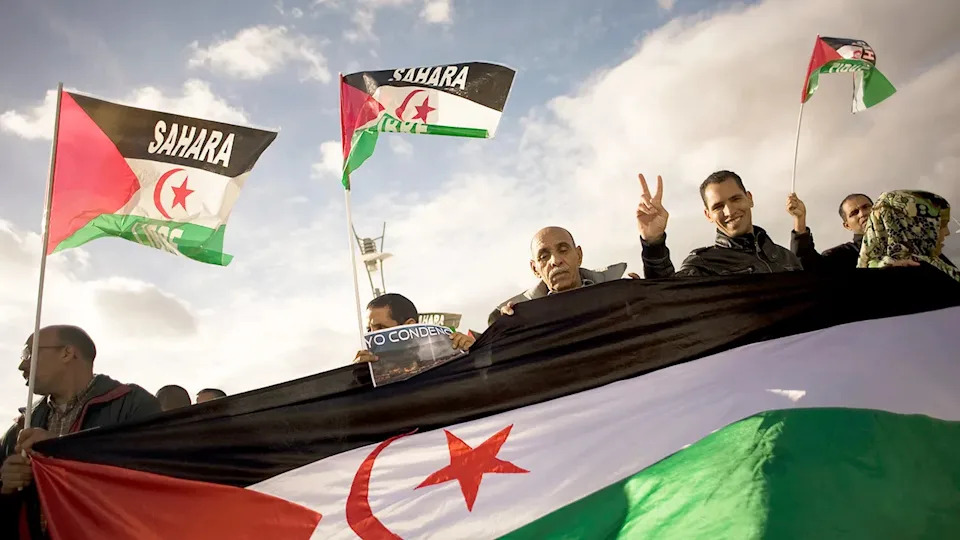 Pro-Sahwari activists holds western Sahara flags as they protest Moroccan occupation