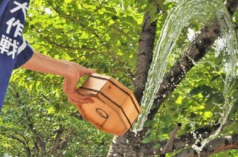 涼を呼び込む打ち水＝打ち水大作戦本部提供
