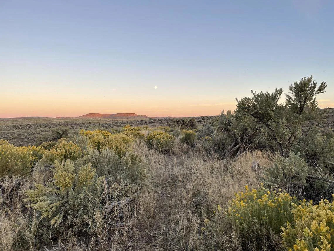 New map shows public land in Idaho flagged for potential disposal