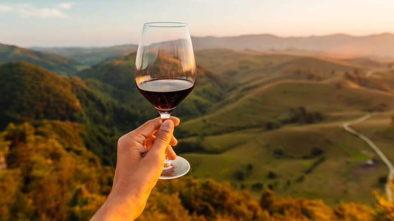 A wine glass held by a human hand in front of a hilly landscape