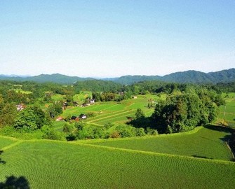 世界農業遺産に2地域を認定　島根・再生棚田と和歌山・ミカン栽培