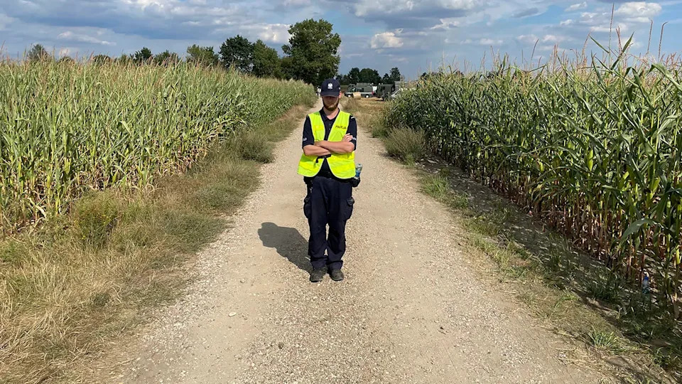 A Polish police officer at the scene where a Russian drone crashed in a cornfield.