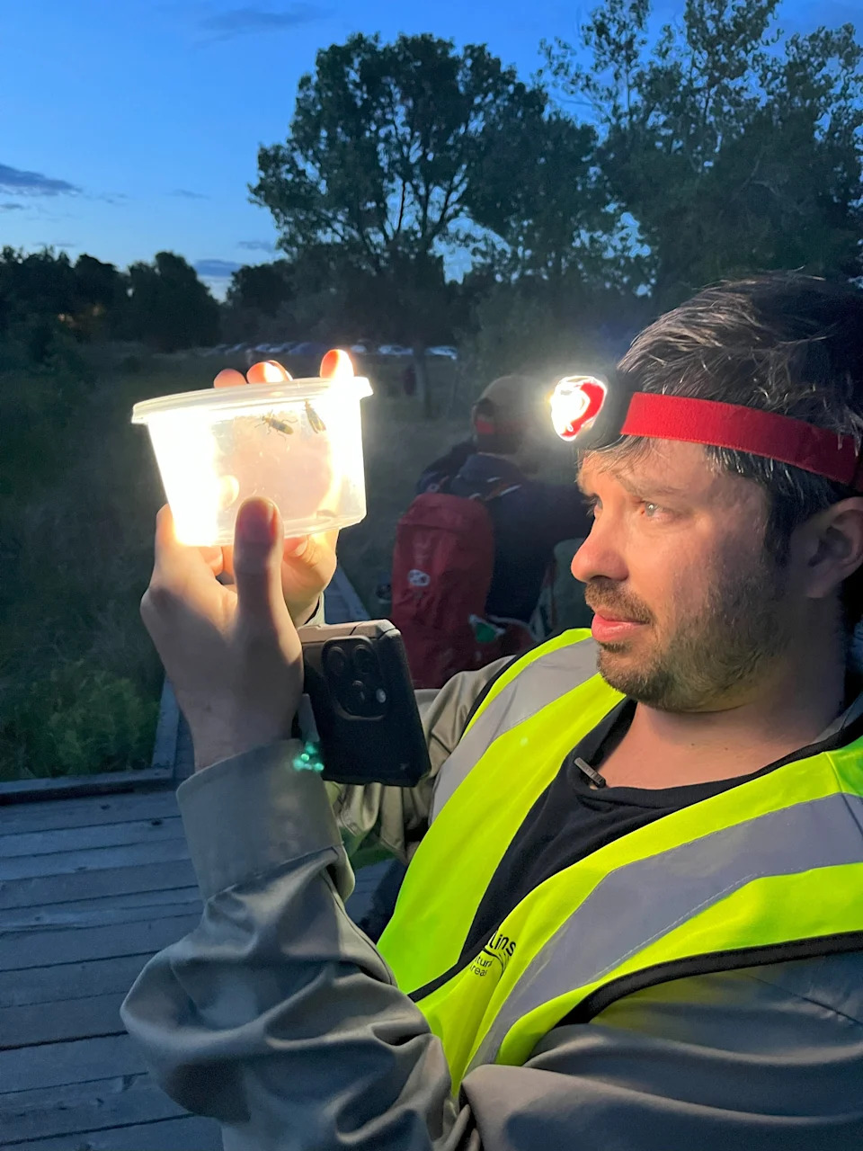Fireflies are lighting up Ohio. Here's what's happening throughout the state