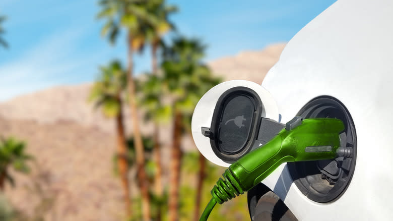 An EV charges somewhere with palm trees