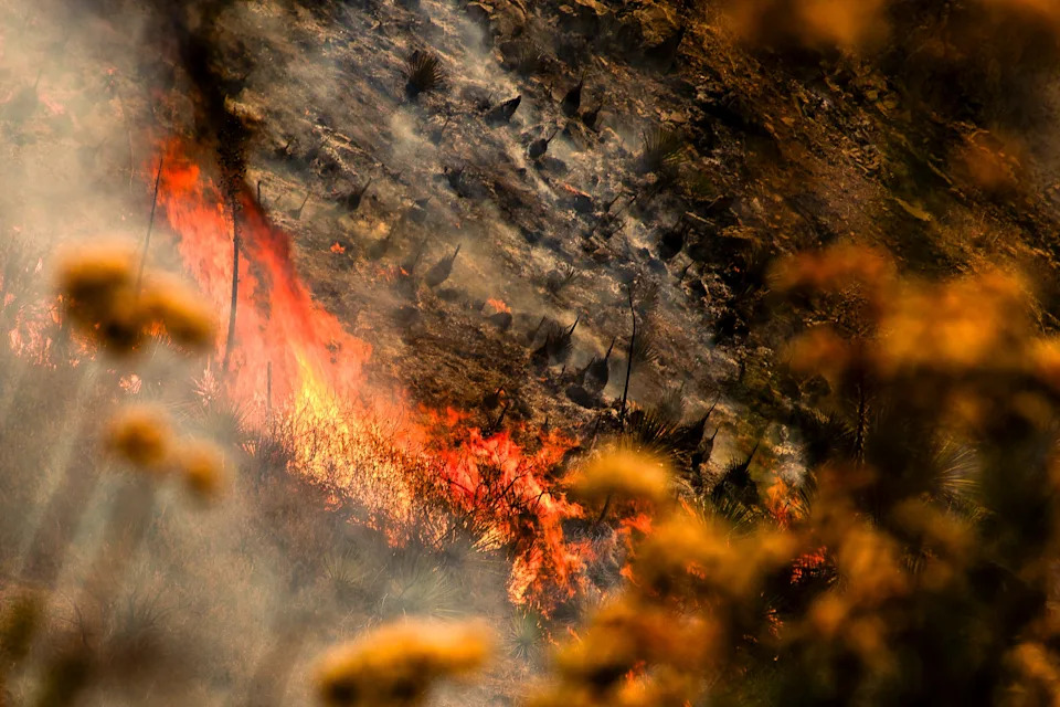 Gifford Fire burns 30,000 acres in Los Padres National Forest on August 2, 2025. Flames sweep through rugged terrain near Santa Maria, California, forcing evacuations and endangering nearby communities and wildlife.