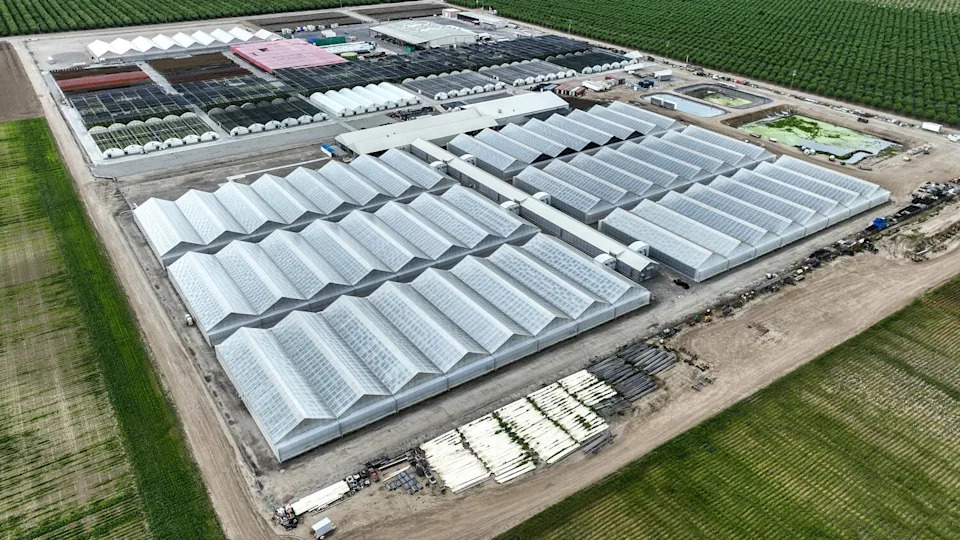 A complex of low industrial buildings.