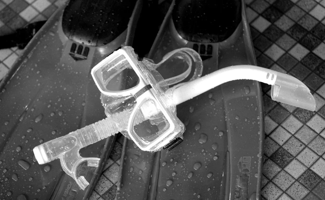 New Jersey man dies while scuba diving off the coast of Mass.