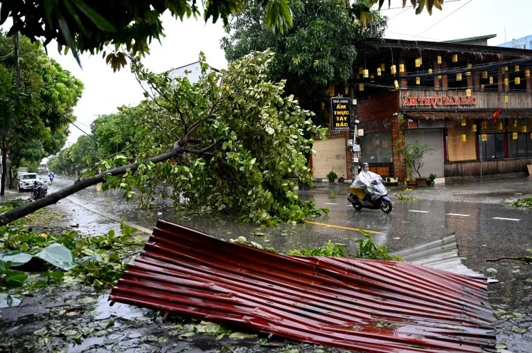 Typhoon death toll rises in Vietnam as downed trees hamper rescuers