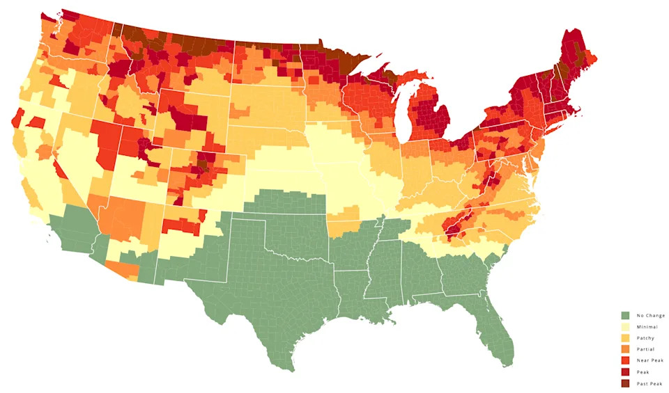 This map shows a prediction of fall foliage colors across the country during the week of Oct. 7, 2025.
