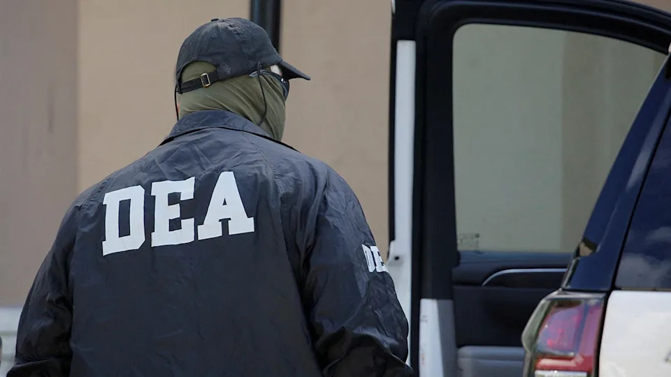 DEA head says phone calls are coming from 'all over the country’ from fed agents wanting to help in DC