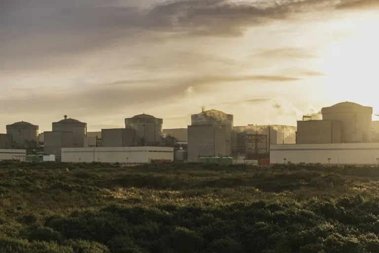 Jellyfish force French nuclear plant shutdown