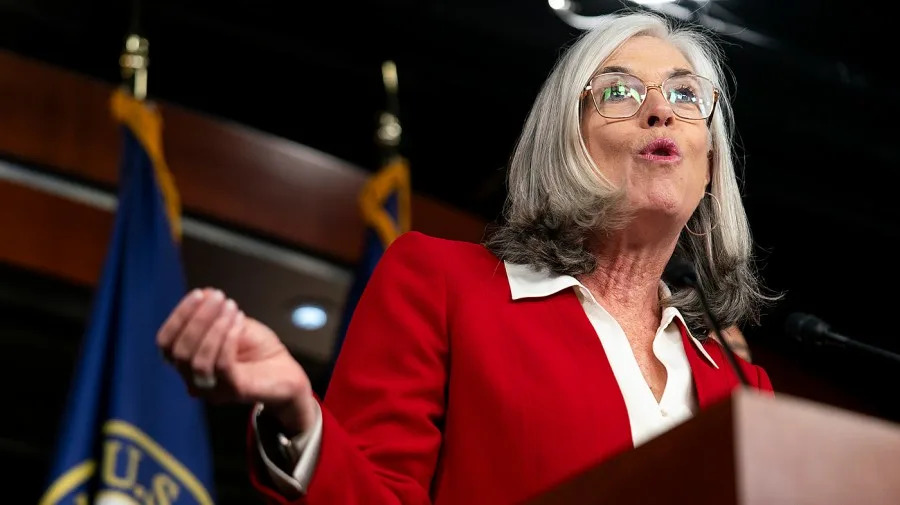 Clark becomes highest-ranking Democrat to accuse Israel of ‘genocide’ in Gaza