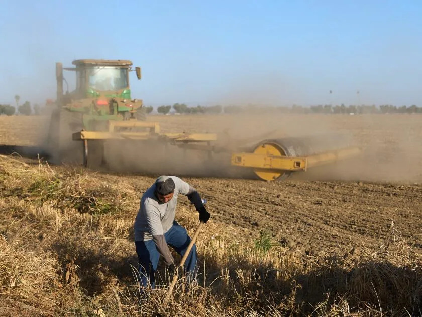 A farmworker clear brush from a farm irrigation channel
