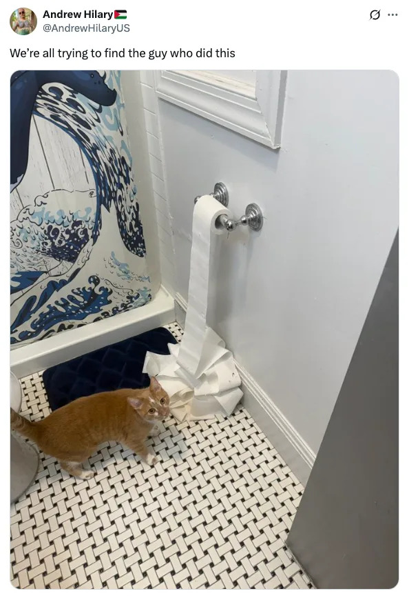 Cat unrolling toilet paper on a bathroom floor, with a humorous caption about finding the culprit