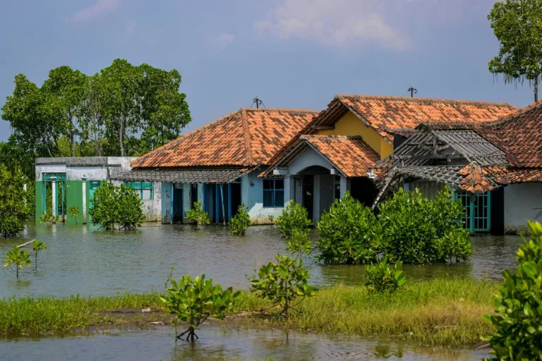 Can a giant seawall save Indonesia's disappearing coast?