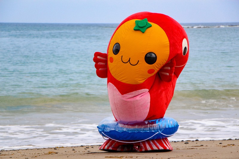 2025年のゆるバース（旧ゆるキャラグランプリ）に出場する三重県南伊勢町のゆるキャラ「たいみー」＝同町提供