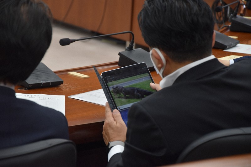 衆院内閣委員会で検察庁法改正案の審議中にタブレット端末でワニの動画を見る平井卓也議員＝2020年5月13日午前9時9分