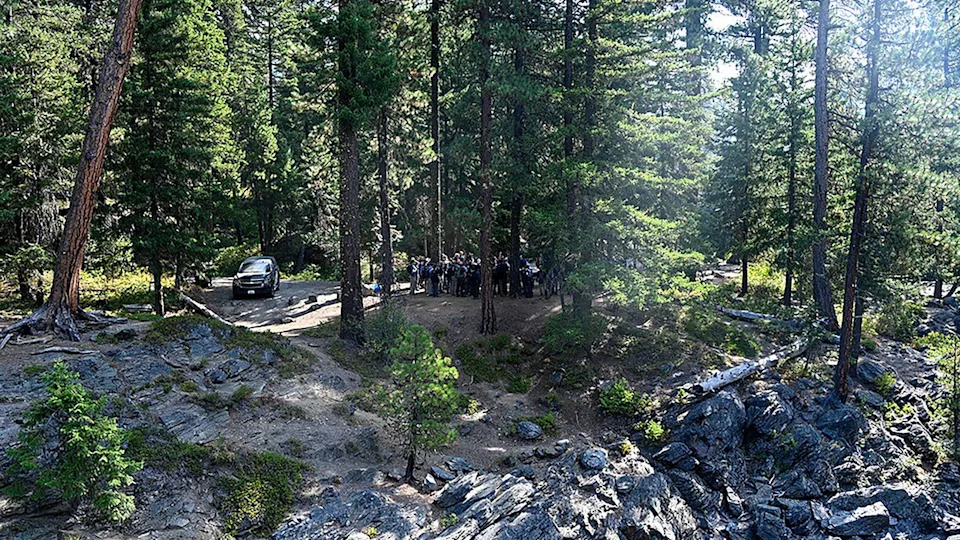 law enforcement agencies searching forested area