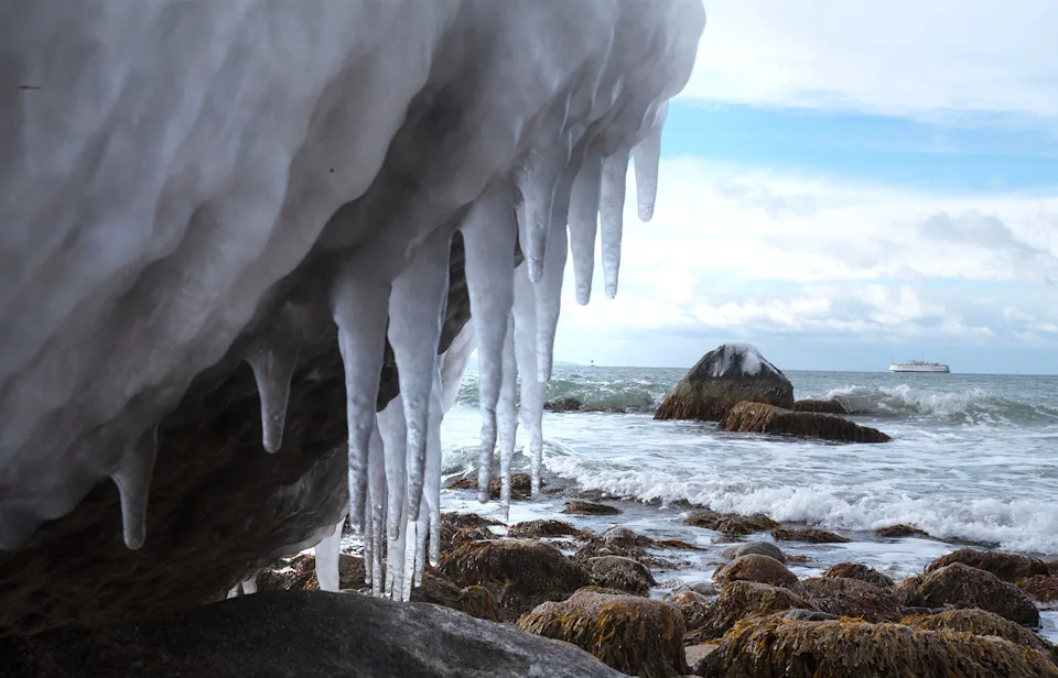 Sea icicles take on the appearance of a prehistoric shark lunging out from the rocks along Nobska Beach in Woods Hole, Massachusetts on January 9, 2025