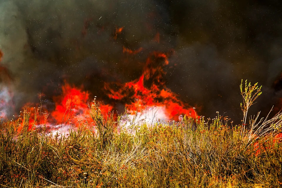 Gifford Fire burns 30,000 acres in Los Padres National Forest on August 2, 2025. Flames sweep through rugged terrain near Santa Maria, California, forcing evacuations and endangering nearby communities and wildlife.