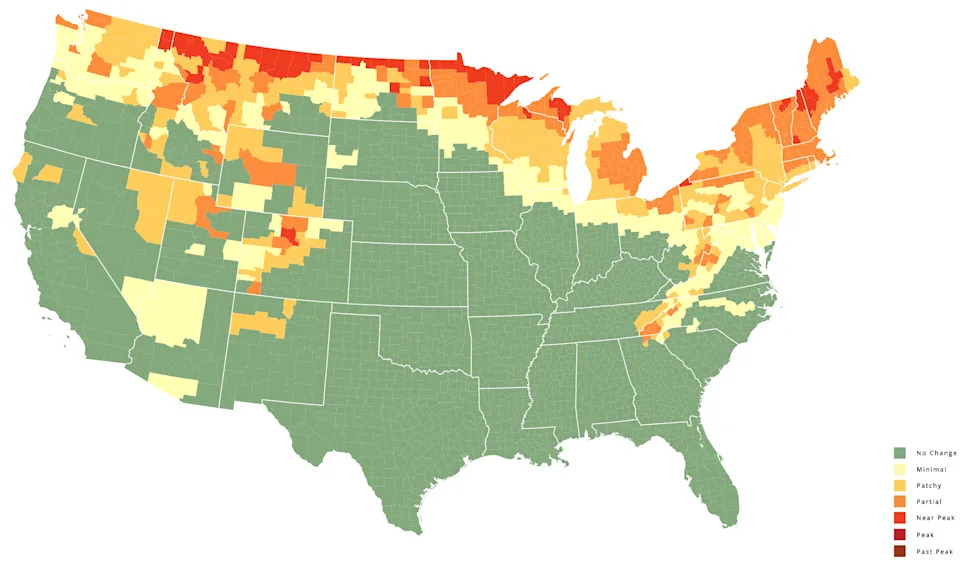 This map shows a prediction of fall foliage colors across the country during the week of Sept. 23, 2025.