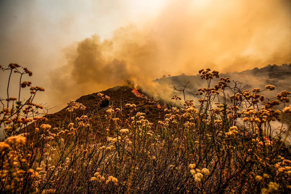 Gifford Fire burns 30,000 acres in Los Padres National Forest on August 2, 2025. Flames sweep through rugged terrain near Santa Maria, California, forcing evacuations and endangering nearby communities and wildlife.