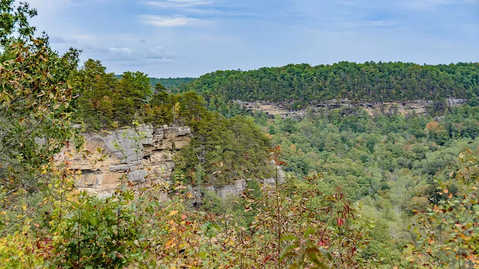 view of trees and cliffs at Red River Gorge in Kentucky