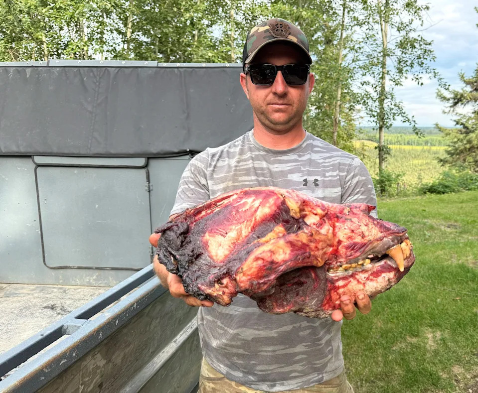 Brett and DLP grizzly skull
