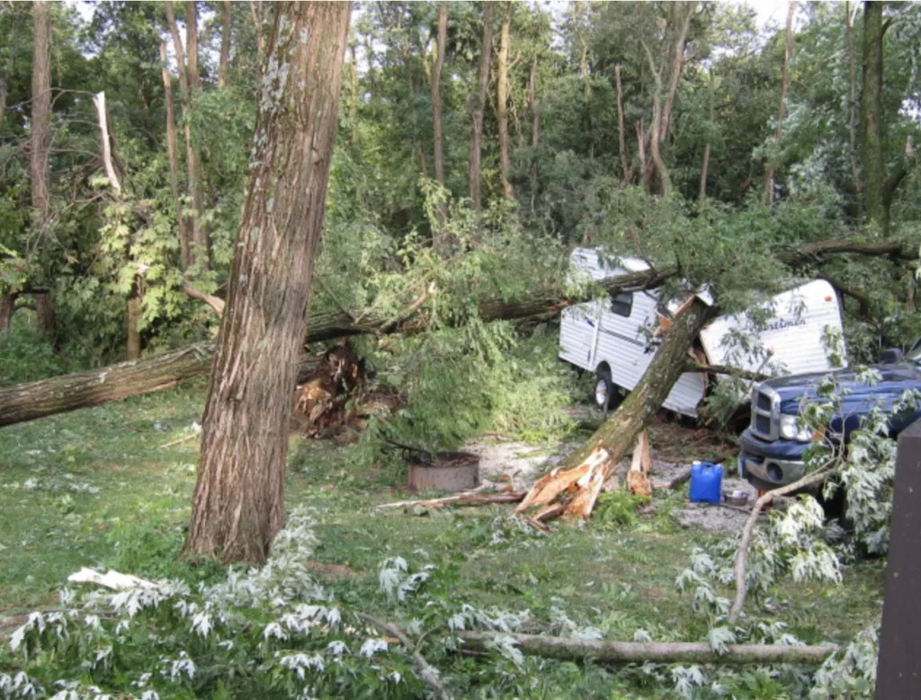 How many trees did Iowa lose from the 2020 derecho?