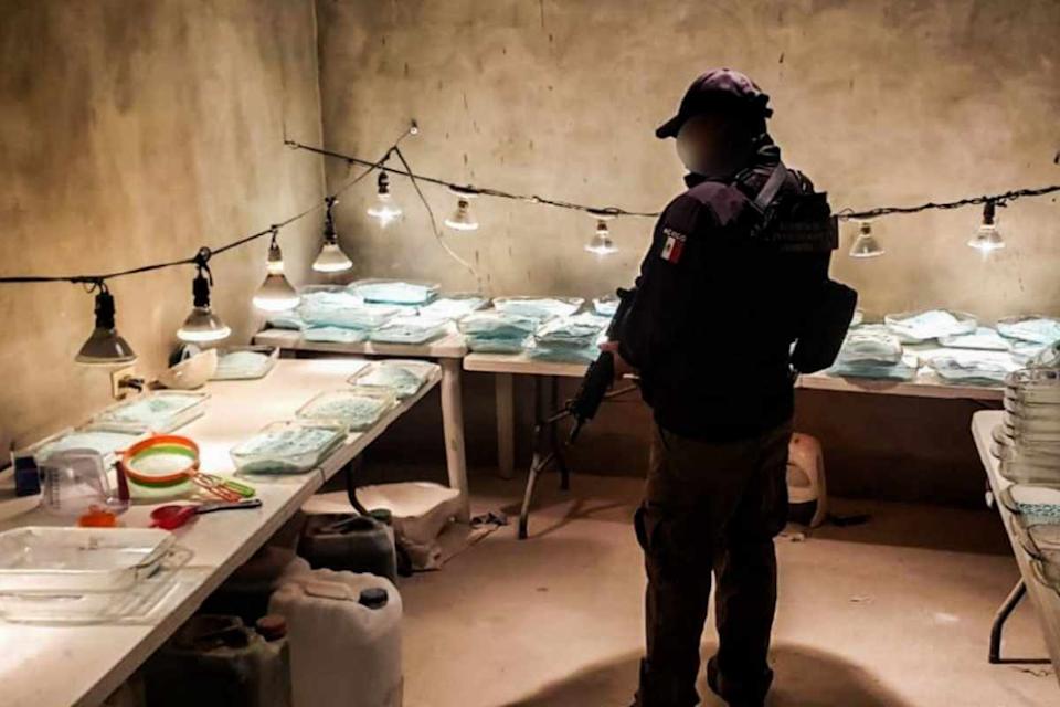 Dinero del narco: Estados Unidos va por ganancias de capos mexicanos a cambio de reducción de condenas