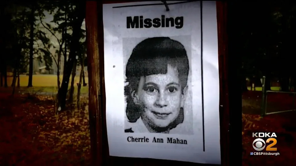Missing person poster of Cherrie