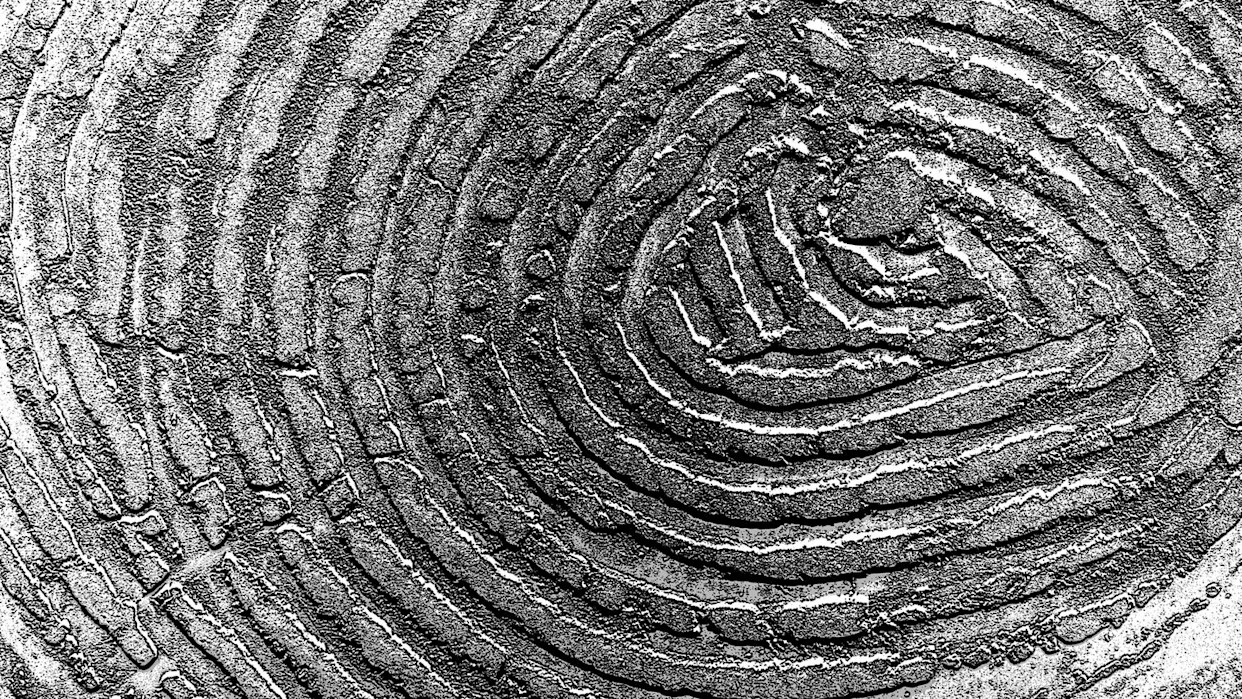 Archaeologists Found a 2,600-Year-Old Fingerprint of a Biblical Figure